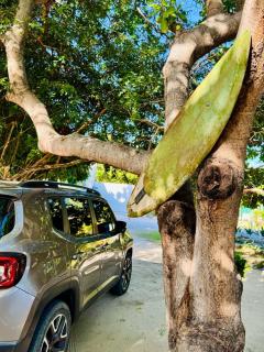 Vila Pescador Fortim - 7