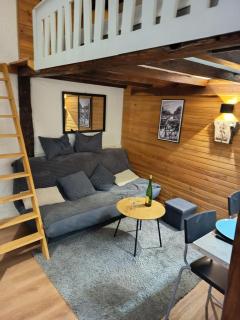 Le Nid Des Marmottes, hyper centre, draps et serviettes fournies - 7