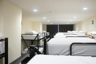 Travohostal Monterrey Historico - 8