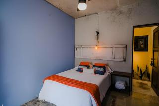 Casa Árbol Amazing House Downtown Merida Yucatan - 7