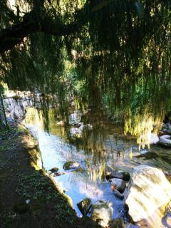 Bangalo a beira do rio em plena natureza - Petrópolis - 6