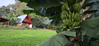 Cabañas de los árboles - 3