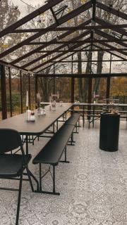 Baltās anemones - 5