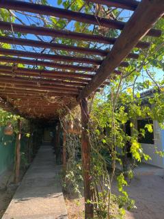 Pousada Imperio dos Bambus - 7