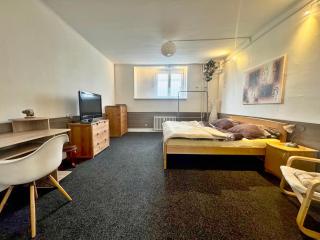 Apartment in historic centre of Ostrava - 7