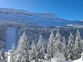 Studio rénové avec balcon proche des pistes, casier à ski - FR-1-425-156 - 2