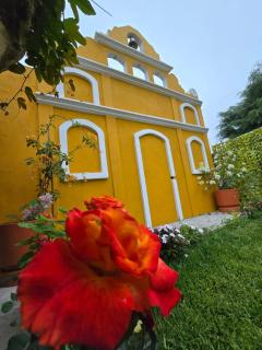 Valle de Toliman - 7