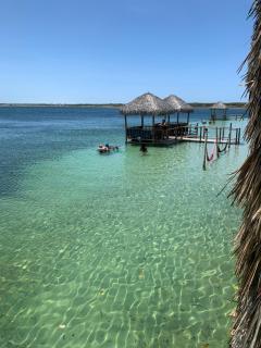 Canto dos passaros - 4