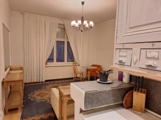 Luxhousing spacious city suite - 4