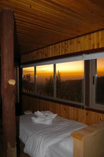 Dana luxury huts - 7