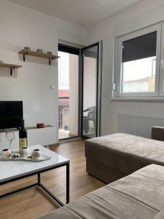 Vasiljević Apartman Koviljača - 8
