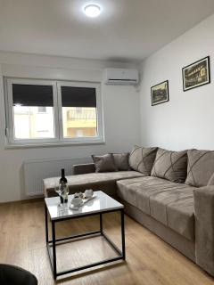 Vasiljević Apartman Koviljača - 7