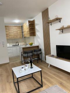 Vasiljević Apartman Koviljača - 1