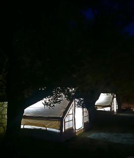 Cimarte The Path Lukove - 6