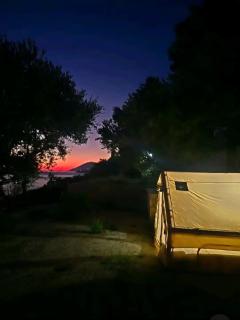 Cimarte The Path Lukove - 8