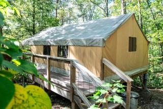 The Green Heron's Nest - Family Glamping Tent in Red River Gorge - 8