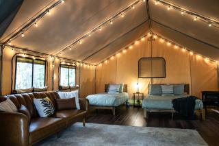 The Green Heron's Nest - Family Glamping Tent in Red River Gorge - 7