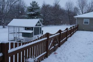 Modern 3-Suite Home on 3 Acres - Pet-Friendly - 4