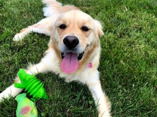 Modern 3-Suite Home on 3 Acres - Pet-Friendly - 3