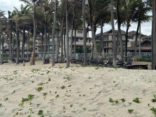 Manhattan Beach Riviera - Resort TOP - 8