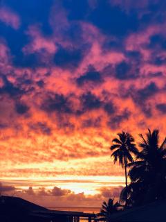 White Sandy Beach Dive Resort - 8