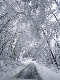 Domek przy Modrzewiach - 7