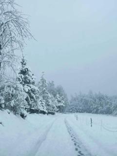 Domek przy Modrzewiach - 8