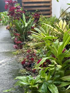 Lewis's Apartamentos #32 - 9