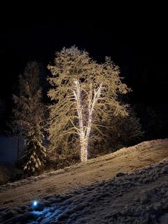 Podhorský Apartmány Terchová - 8