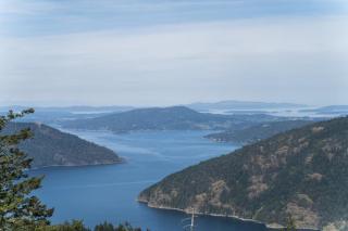 Blue Horizon Mountain Retreat B&B - 4