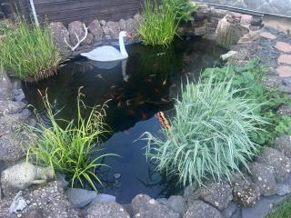 Bi Da Schnellephine - Hébergement à Oberhaslach - 3