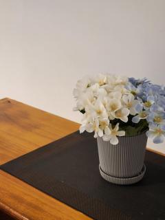 Evening Study Congreso - 4