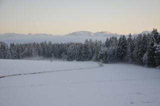 Langegger Alm - Sennerstube - 9