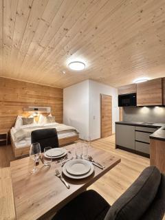 Alpin Studio Schladming 103 - 0