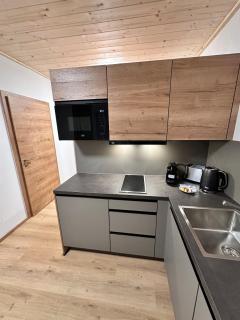 Alpin Studio Schladming 103 - Schladming - 1