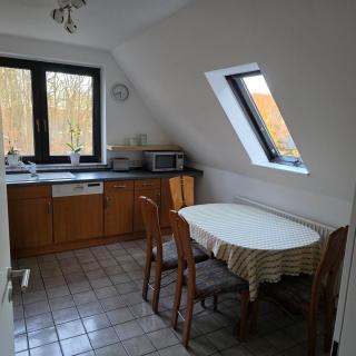 Wohnung am Waldrand - 3