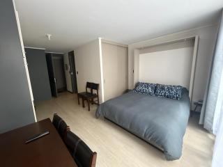 Santiago Centro I La Moneda I Paseo Ahumada - 4