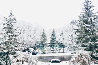 Cottage like home in Toronto - 7