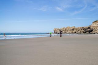 Coastal Garden - Anchor Pier Lodge - 5