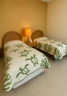 Maalaea Oceanfront Condo - 1