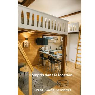 Le Nid Des Marmottes, hyper centre, draps et serviettes fournies - 0