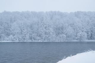 Modern Lakeview Escape | Scenic Deck • Fire Pit - 7