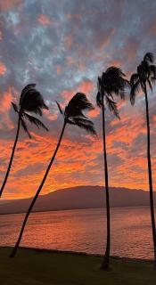 Maalaea Oceanfront Condo - 8