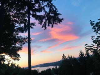 Serene King Suite Retreat on Quiet Mercer Island - 3