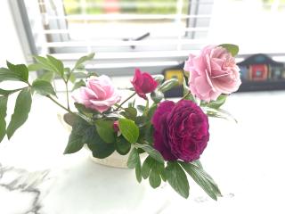 The Penguins Nest - 7