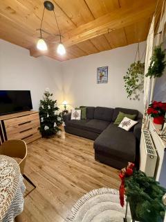 Agroturystyka Pod Modrzewiem - 0