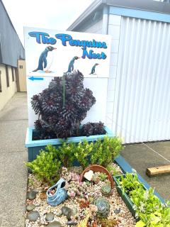 The Penguins Nest - 2