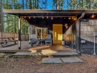 Little Chestnut Cabin - 9