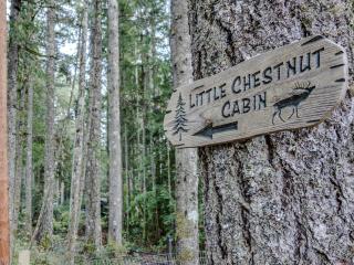 Little Chestnut Cabin - 8