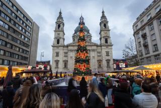 M&M Apartment - Bazilika - 1